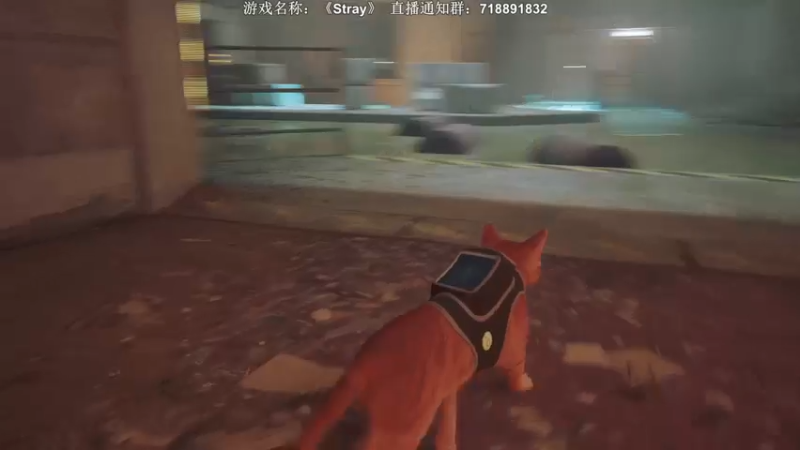 【2022-07-20 00点场】半支烟：【半支烟】《Stray》做一只猫