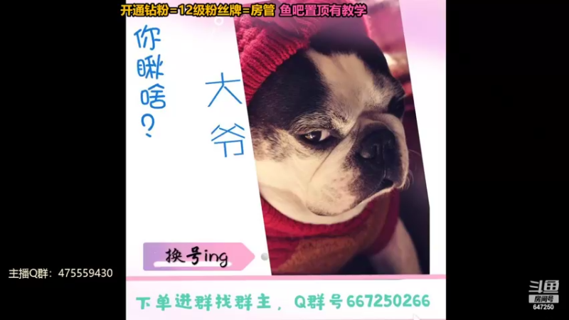 【2022-07-19 22点场】小马锅马杰：马锅：失去比拥有踏实多了。