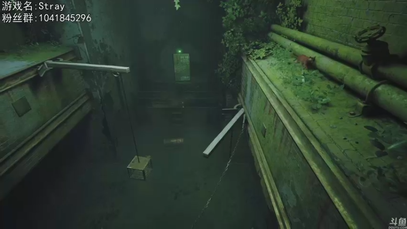 【2022-07-20 21点场】巴格拉斯：热爱生活，走进巴叔