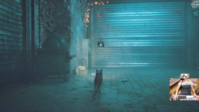 【主机其他游戏】丶干物喵的精彩时刻 20220720 21点场