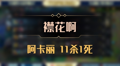 【襟花啊】阿卡丽 11杀1死