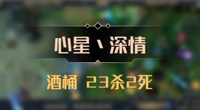 【心星丶深情】酒桶 23杀2死