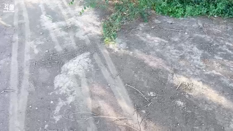 【2022-07-21 19点场】主播阿郎：带着阿芬去新疆