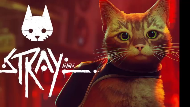 【2022-07-20 20点场】老猫CatGames：【Cat】猫奴专场 《Stray》开荒