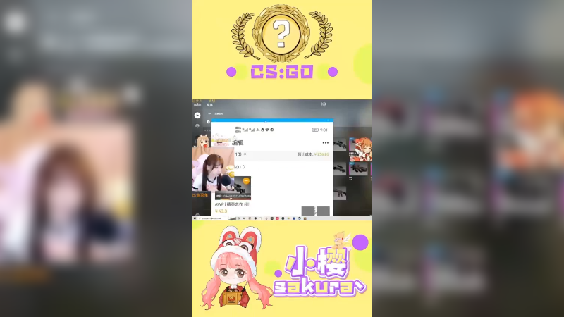【csgo炼金】又200多炼印花集，会好事成双吗？