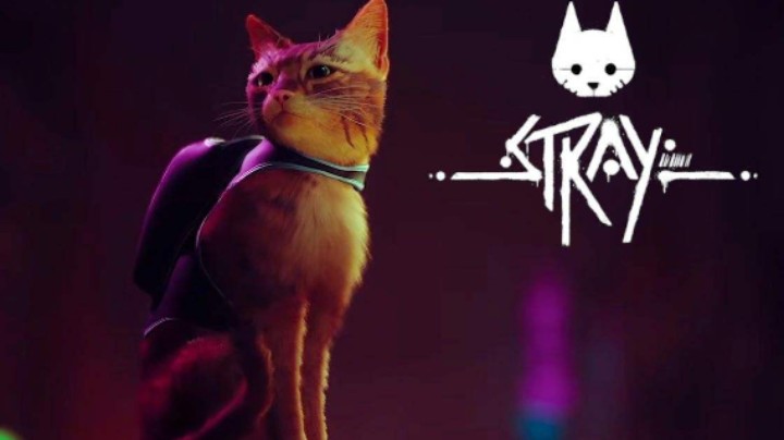 迷失stray 通关攻略 第六期