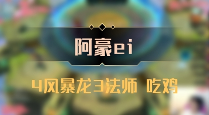 【阿豪ei】4风暴龙3法师 吃鸡
