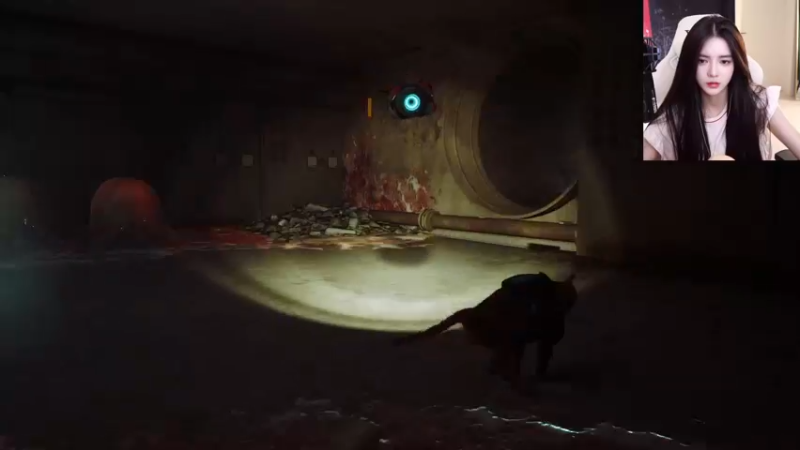【2022-07-21 01点场】野生小师妹：《迷失》Stray