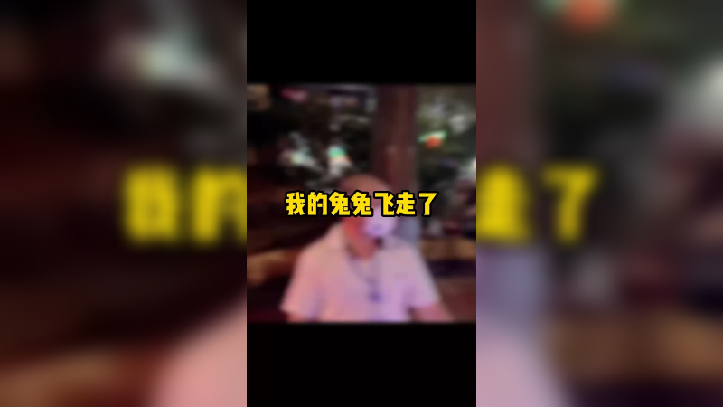 我的兔兔飞走了