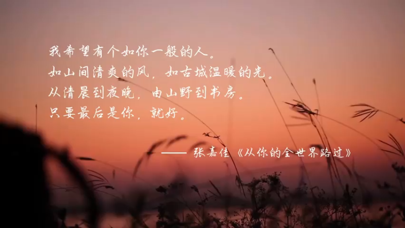 【耳语秘言】从你的全世界路过
