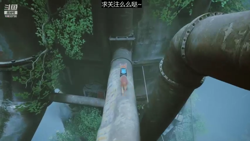 【2022-07-20 16点场】光叔灬：【Stray】猫王全收集！