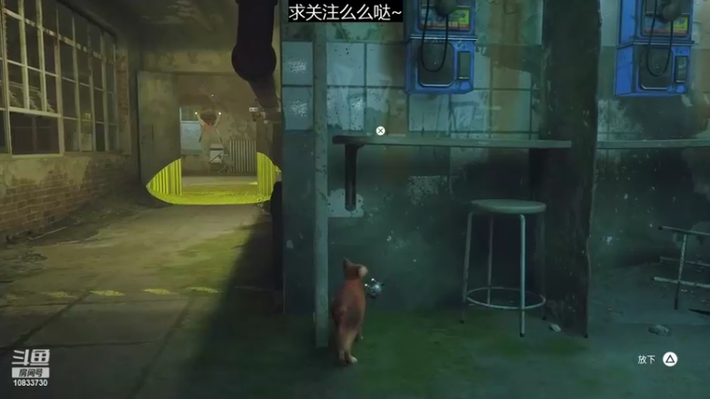 【2022-07-20 18点场】光叔灬：【Stray】完结撒花