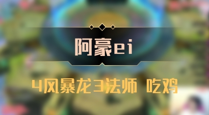 【阿豪ei】4风暴龙3法师 吃鸡