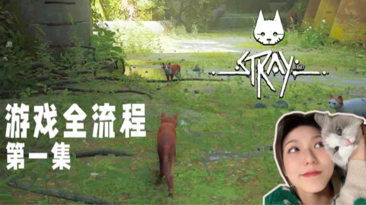 《Stray迷失》游戏全流程第一集 :) 米米模拟器试玩