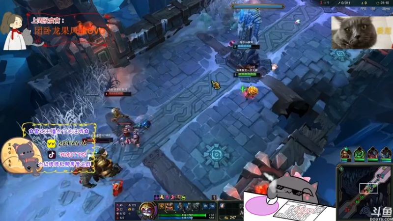 【2022-07-21 02点场】哦呦orz：【小奶团】我是一只傻鸟