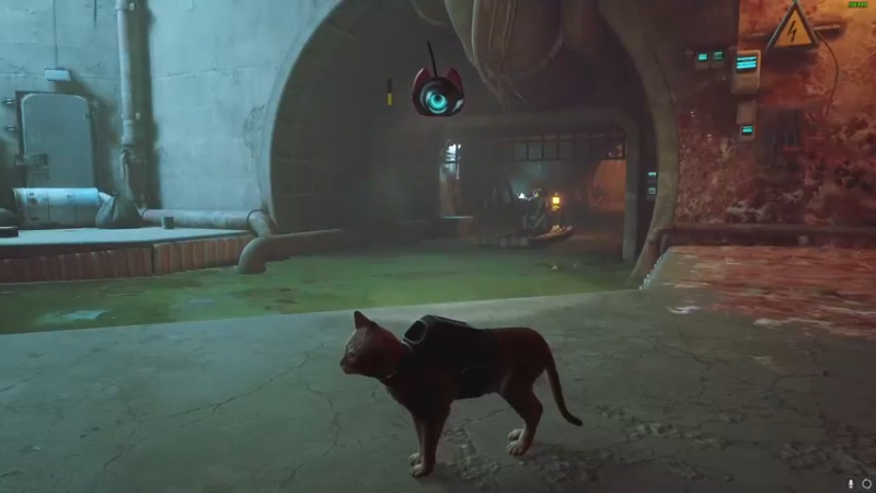 【2022-07-21 00点场】byMgogo：【b仔】畏惧失败就是毁灭进步