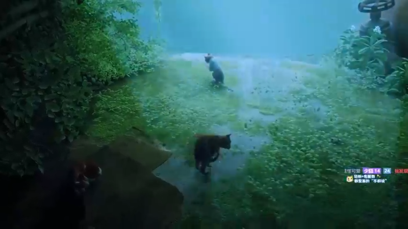 少囧通关《Stray》流浪猫（赛博朋克猫）P1 废城