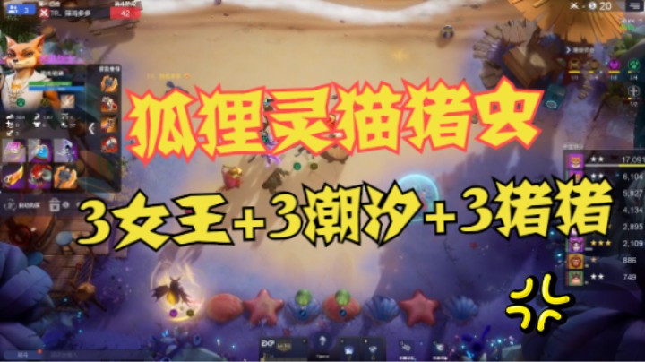 狐狸灵猫猪虫——3女王+3潮汐+3猪猪