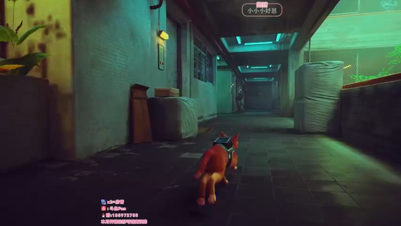 【2022-07-22 02点场】NRK丶反神：追不上的迅烈如火握不住的风