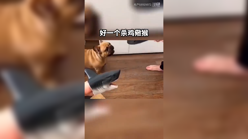 自来水不但没味，喝的脑瓜子还拔凉。