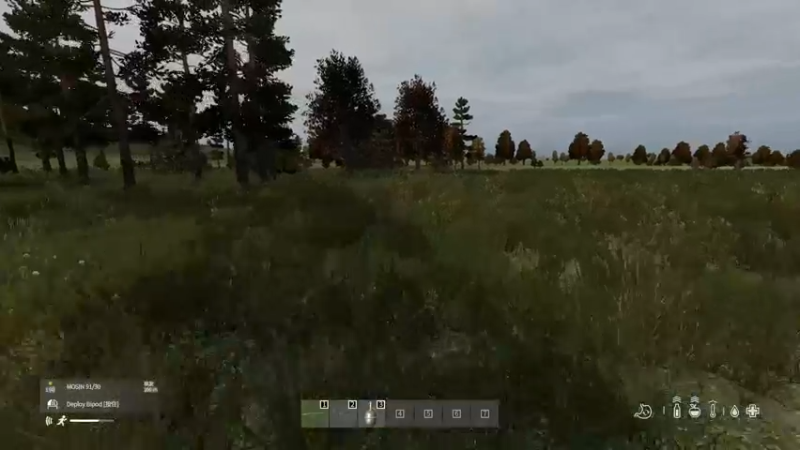 【2022-07-22 16点场】dayz韩爱东西：打开这个游戏，你将忘却世间所有的烦恼