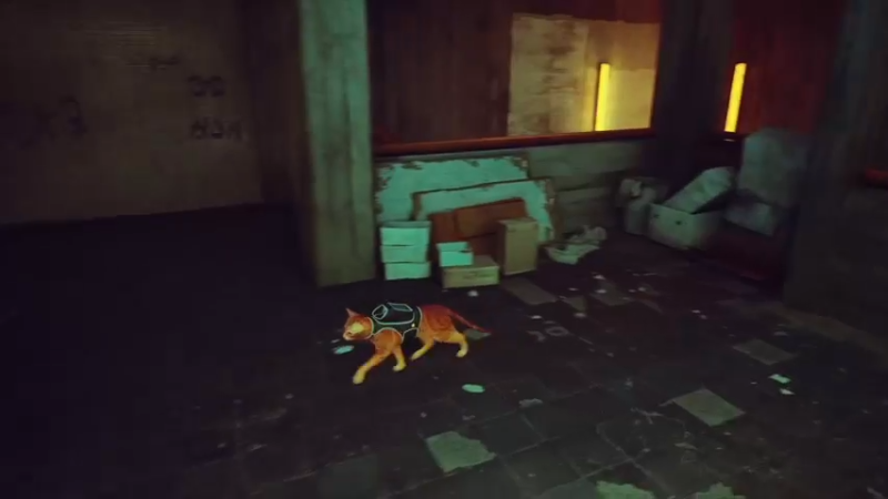 【2022-07-20 21点场】是七宝呀：stray：一只流浪猫的冒险旅程