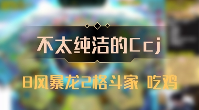 【不太纯洁的Ccj】8风暴龙2格斗家 吃鸡