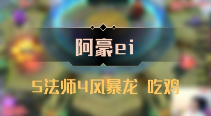 【阿豪ei】5法师4风暴龙 吃鸡
