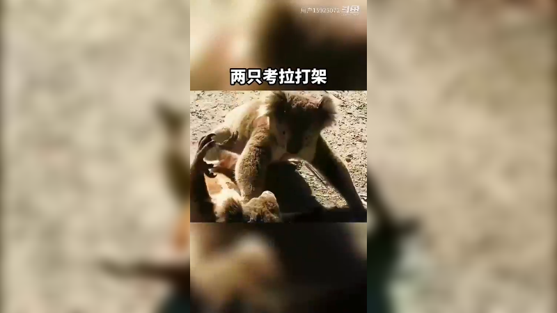 幸福来的就是这么突然。