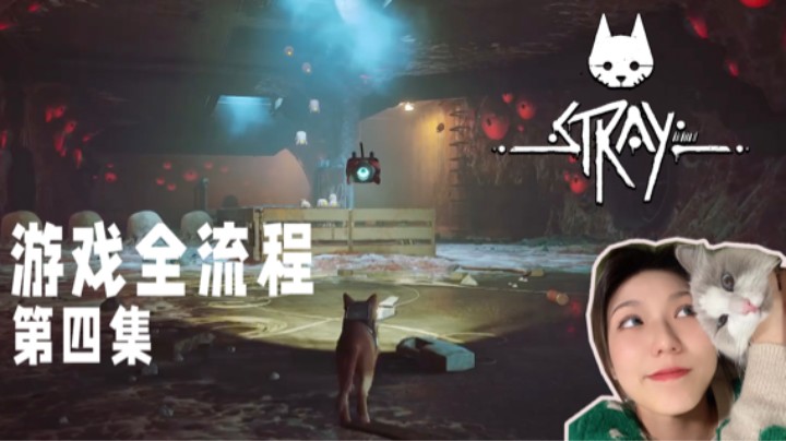《Stray迷失》游戏全流程第四集 :) 小猫咪不可以看这些