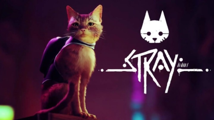 【鬼娃】 Stray 开荒08 结局