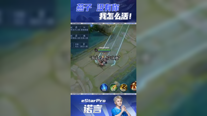 燕子，我不能没有你哇