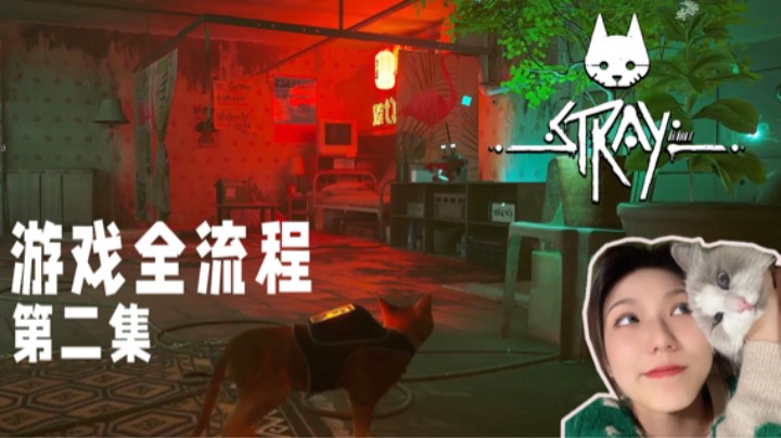 《Stray迷失》游戏全流程第二集 :) 咕噜噜咕噜噜