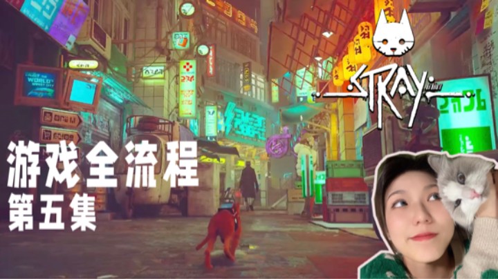 《Stray迷失》游戏全流程第五集 :) 某游戏进来挨打