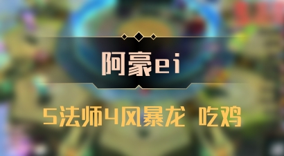 【阿豪ei】5法师4风暴龙 吃鸡