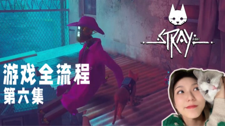 《Stray迷失》游戏全流程第六集 :) 蹦迪猫猫