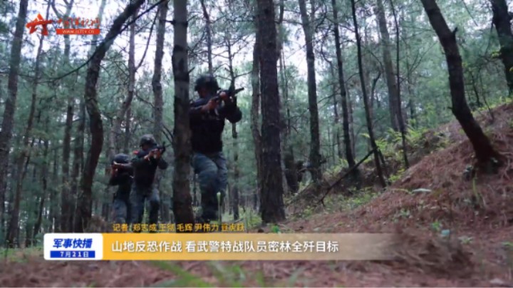 山地反恐作战 看武警特战队员密林全歼目标