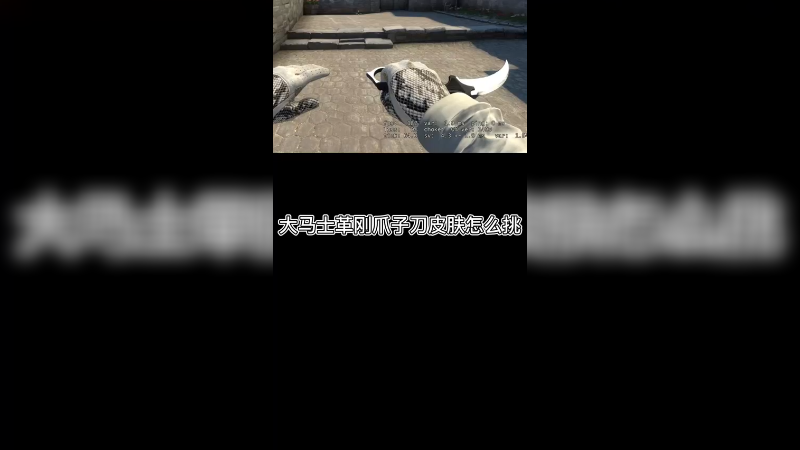 【csgo皮肤】大马士革钢爪子刀皮肤挑选！