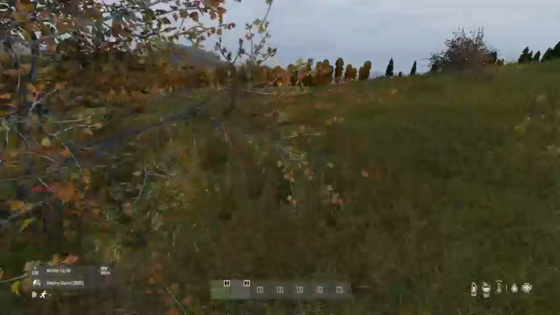 【2022-07-22 20点场】dayz韩爱东西：打开这个游戏，你将忘却世间所有的烦恼