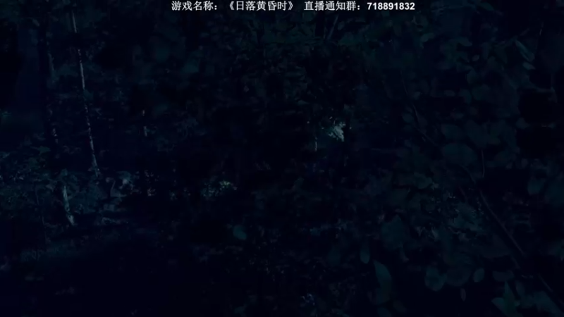 【2022-07-22 00点场】半支烟：【半支烟】《日落黄昏时》二周目探索