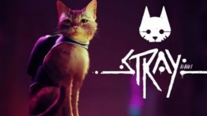 【Stray /迷失】女流全流程实况 P1