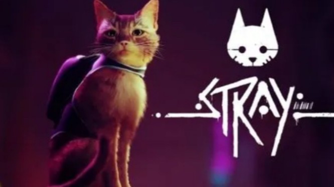 【Stray /迷失】女流全流程实况 P3