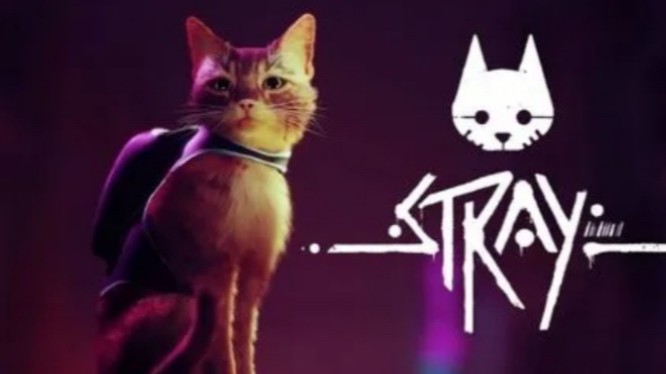 【Stray /迷失】女流全流程实况 P2