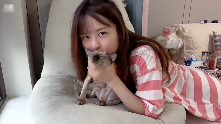 吸猫的快乐只有养猫的人才知道