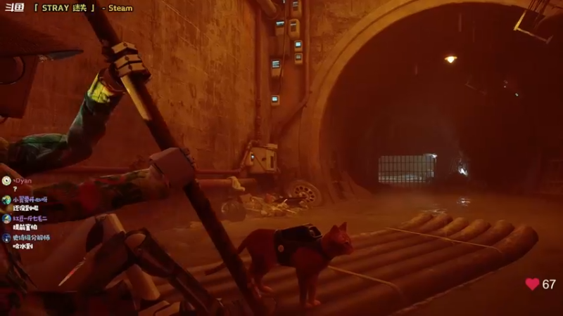 【2022-07-21 22点场】哈尼她姐：「STRAY迷失」喵 喵喵喵 喵！