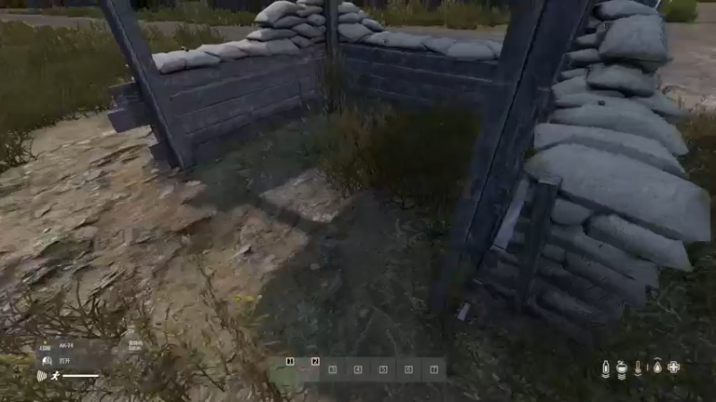 【2022-07-24 10点场】dayz韩爱东西：打开这个游戏，你将忘却世间所有的烦恼