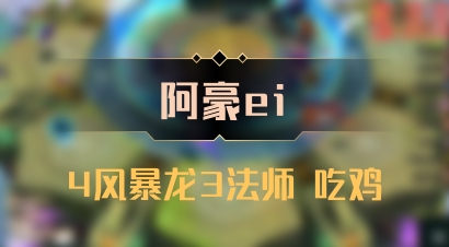 【阿豪ei】4风暴龙3法师 吃鸡