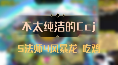 【不太纯洁的Ccj】5法师4风暴龙 吃鸡