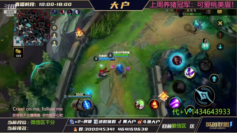 【2022-07-21 17点场】大户呀：国1猫 国1露露 我来辣！杀