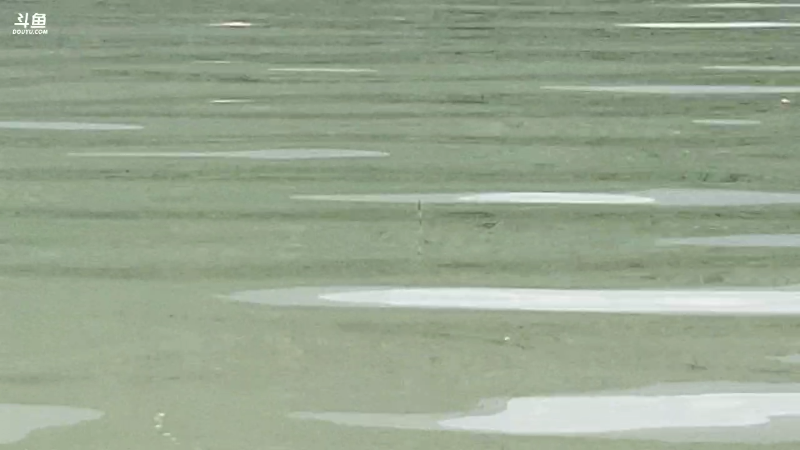 【户外】黑哥户外的精彩时刻 20220724 13点场